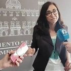 Trini Amorós, responsable de Urbanismo en el PSOE de Alicante