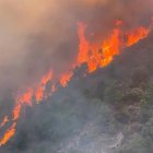 Incendio forestal de Bejís.