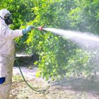 Imagen de un operario fumigando un campo  - ARCHIVO