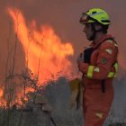 incendio Forestal de Calles.