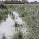 Los agricultores denuncian el mal estado del cauce del río Segura