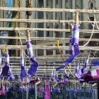 Imagen de la octava 'mascletà' de las Fallas 2023, a cargo de Caballer FX y dedicada a las mujeres coincidiendo con el Día Internacional de la Mujer - EUROPA PRESS