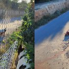 Los perros tras atacar a un can de la zona.