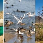 Parque Natural del Cabo de Gata -Níjar