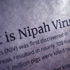 Virus Nipah