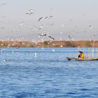 Pesca tradicional en La Albufera de Valencia.