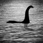 Supuesta imagen del Monstruo del lago Ness