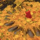 Imagen de la supuesta paella que ayer se repartió en Arabia Saudí