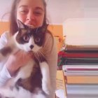 La consellera Mireia Mollà con su gato en uno de sus bailes de TikTok