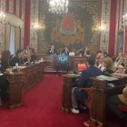 Pleno del Ayuntamiento de Alicante