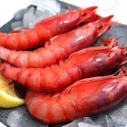 Gamba roja de Dénia