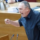 Joan Baldoví en la sesión de control de Les Corts.