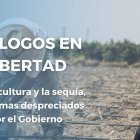 Diálogos en Libertad