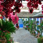 Pario cordobés. Foto Turismo de Córdoba.