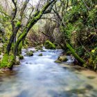 Sendero del río Majaceite en la Sierra de Grazalema, Cádiz.