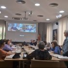 Pleno del mes de marzo del Consell Valencià de Cultura (CVC) / ESdiario