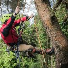 5 Parques de Aventura cerca de Madrid para disfrutar de la naturaleza