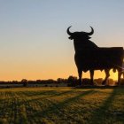 Toro de Osborne