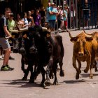 Bous al carrer en Gátova