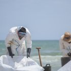 Operarios realizando labores de limpieza en el Saler