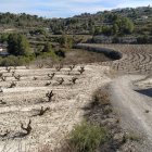 Campos en el interior de la Comunitat Valenciana