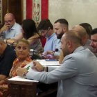 Pleno del Ayuntamiento de Alicante