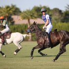 El príncipe Harry de Inglaterra, disputando un partido de polo.