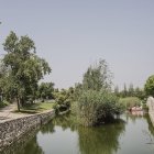 València alcanza los 8,6 metros cuadrados de zonas verdes urbanas por habitante
AYUNTAMIENTO DE VALÈNCIA
11/8/2024