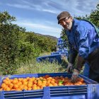 Un trabajador del sector agrícola.