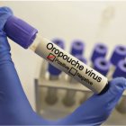 Virus Oropouche