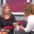 Pilar Eyre en el Tot es Mou de TV3 con su perro Brody.