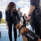 La presidenta de la Comunidad de Madrid, Isabel Díaz Ayuso, acaricia a un perro durante la presentación del Plan Regional contra las Drogas.