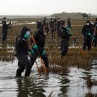 Varios agentes de la Guardia Civil siguen buscando cuerpos en la Albufera, a 15 de noviembre de 2024