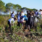 Reforestación en Moger (Huelva) de la Fundación Cepsa y la Fundación Plants for the planet.