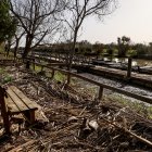 Restos de la DANA en el Puerto de Catarroja de la Albufera