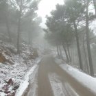 Primeras nieves en Sierra Bermeja, Málaga.