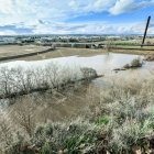 El río Henares a su paso por Guadalajara tras decretarse el nivel rojo por el aumento de su caudal.