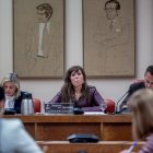 La diputada de la Asamblea de Madrid y expresidenta del Partido Popular de Cataluña Alicia Sánchez-Camacho.