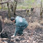 Archivo - Una agente de la Guardia Civil investigando un incendio forestal.- Archivo.
