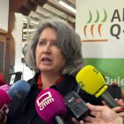 La consejera de Desarrollo Sostenible del Gobierno de Castilla-La Mancha, Mercedes Gómez.