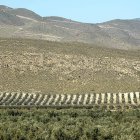 Archivo - Cultivos en zona montañosa.