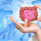 Flora intestinal