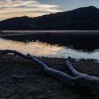 Archivo - Un tronco helado en el embalse de Santilla, a 21 de diciembre de 2023, en Manzanares el Real, Madrid (España).