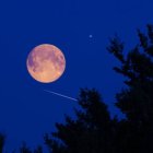 Luna llena