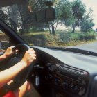 Conducción por carretera secundaria en Ibiza rodeada de olivos en un día soleado.