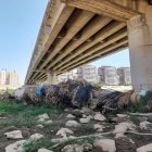 Imagen del nuevo cauce del río Turia, en València, con restos de la dana del pasado 29 de octubre