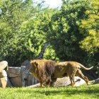 Bioparc