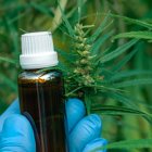 Extracto de cannabis