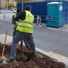 Plantación de arbolado en València