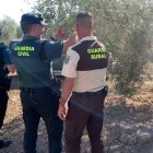 Agentes de la Guardia Civil en una plantación de olivos en Sevilla.

REMITIDA / HANDOUT por GUARDIA CIVIL
Fotografía remitida a medios de comunicación exclusivamente para ilustrar la noticia a la que hace referencia la imagen, y citando la procedencia de la imagen en la firma
10/11/2025